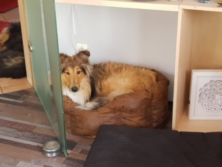 Platz ist in der kleinsten Hütte