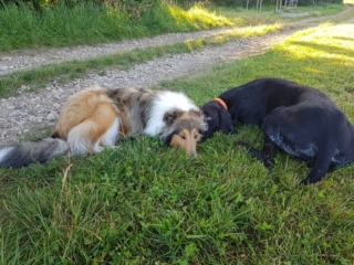 Alfred war die erste Liebe